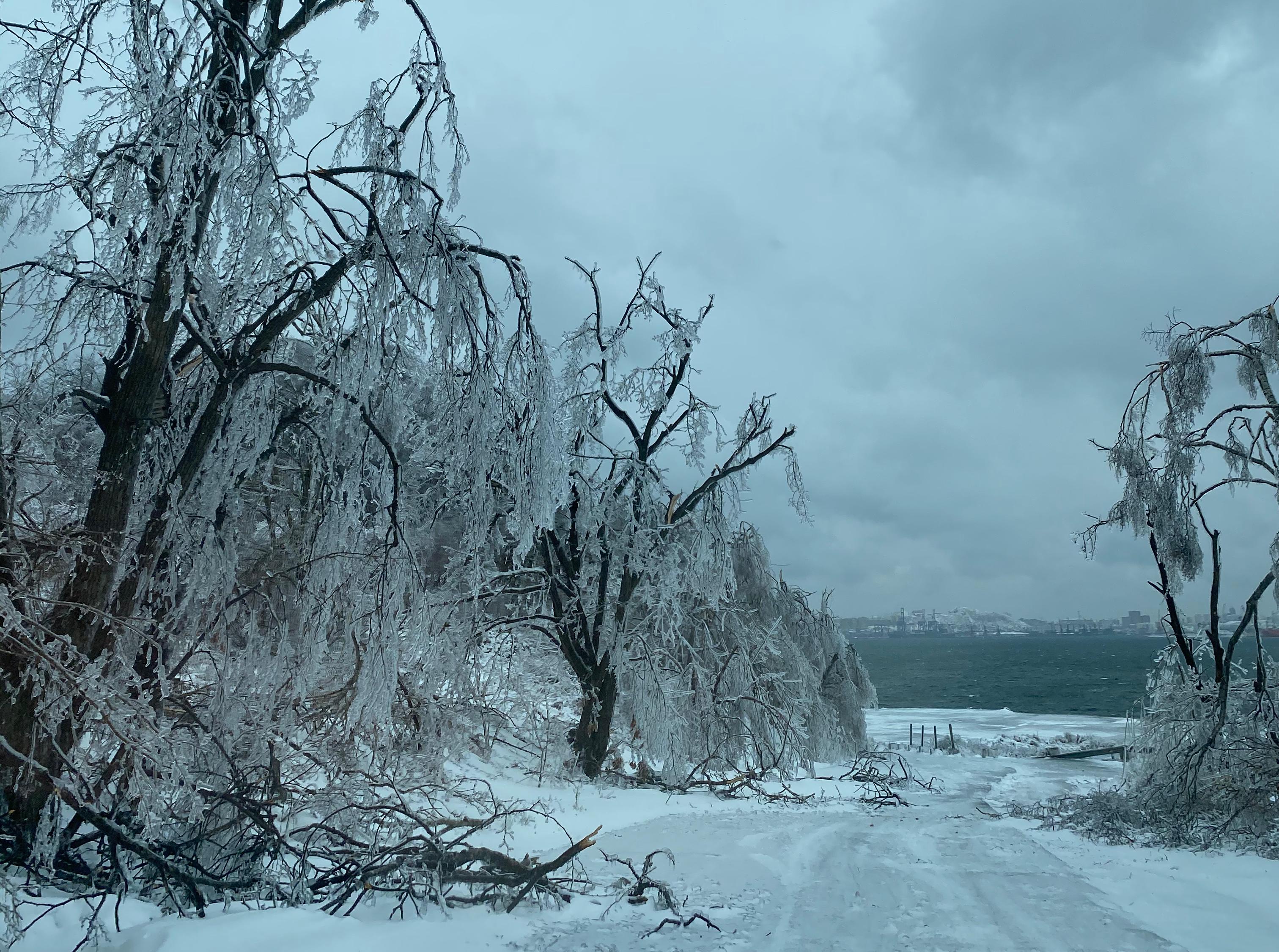 Панорама: Crystal Forest, магазин цветов, ул. Зацепа, 21, стр. 2, Москва — Яндекс Карты